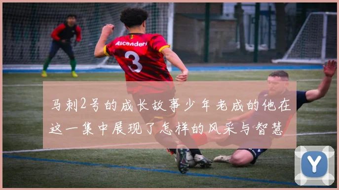 马刺2号的成长故事少年老成的他在这一集中展现了怎样的风采与智慧